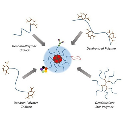 Drug delivery systems from self-assembly of dendron-polymer conjugates (Bolu et al., 2018)