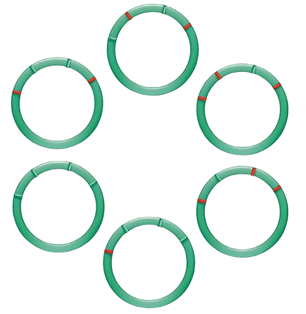 Illustration of gene mutant libraries