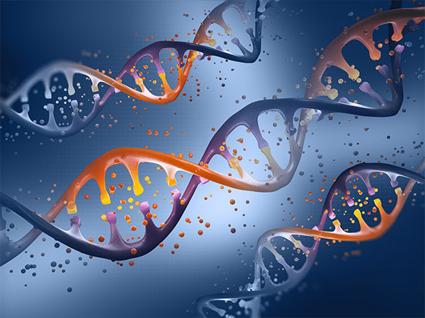 Types of protein mutant libraries: site-directed, scanning point mutation, randomized and degenerated, precision mutant