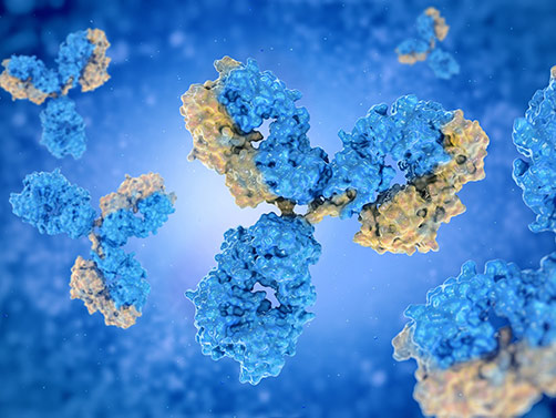 Applications of protein mutant libraries in enzyme engineering, antibody engineering, protein folding, solubility, phosphorylation site mapping, and protein–protein interaction studies