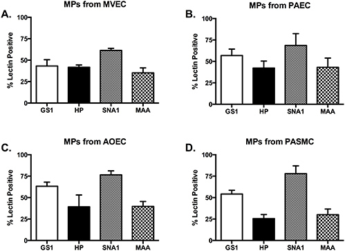 Lectin-based characterization of vascular cell microparticle glycocalyx