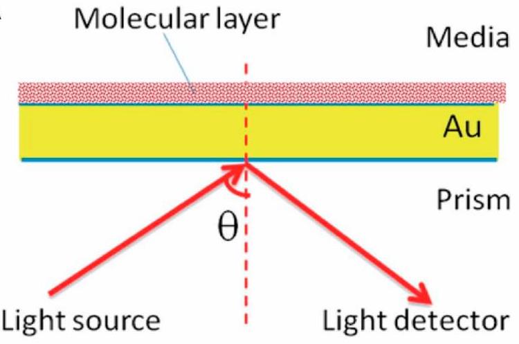 Fig. 2. Stratified medium model for surface plasmon resonance (SPR). (Li L.; et al. <em>Biosensors (Basel). </em>2024)