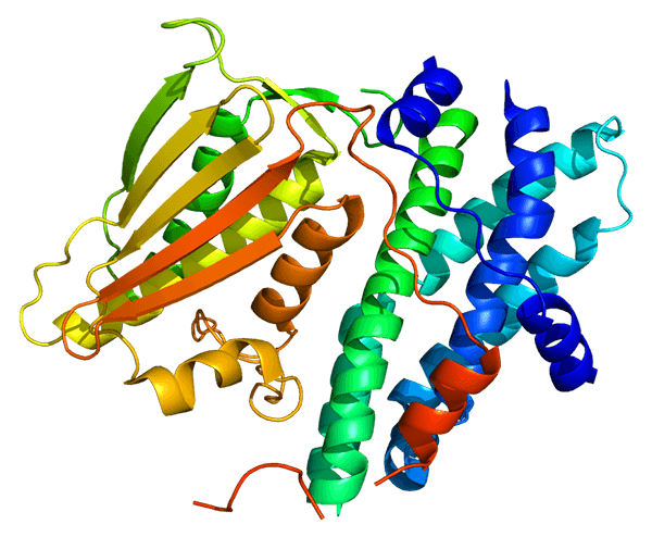 Structure of protein pyruvate dehydrogenase lipoamide kinase isozyme 1 (PDK1), PDB 2q8f