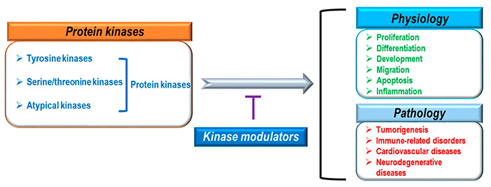 Protein kinase classification, physiological and pathological roles