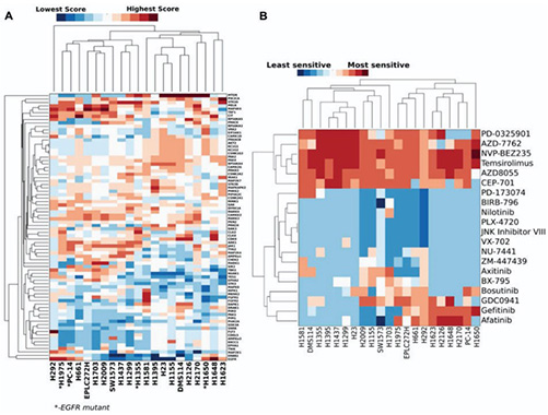 Cluster analysis of the kinase dependency in lung cancer cell lines