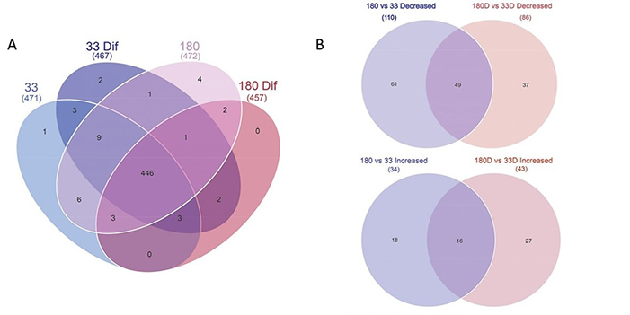 Disrupted arginine methylation of RNA-binding proteins in Huntington’s disease