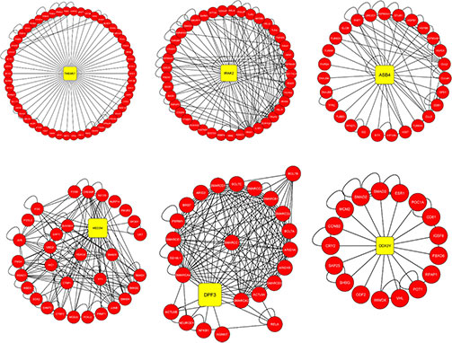 Integrative weighted molecular network from transcriptomics and GWAS data identifying shared biomarkers for COPD and lung cancer