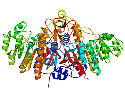 3D structure of MMP9 protein, PDB 1itv