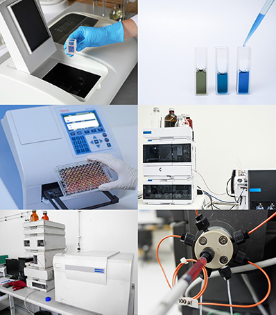 Workflow steps of protein quantitation service