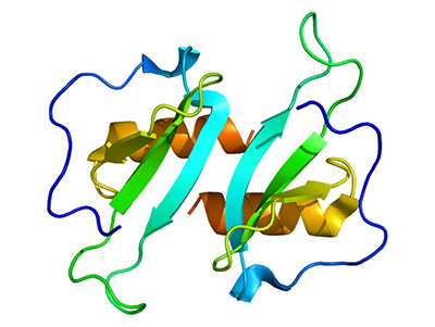 MBD domains binding to methyl-CG and TG DNA sites