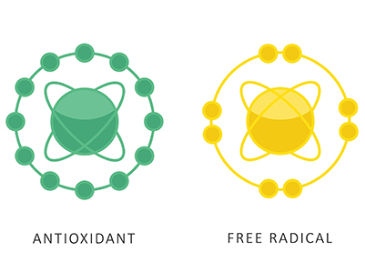 3D structure of myoglobin protein
