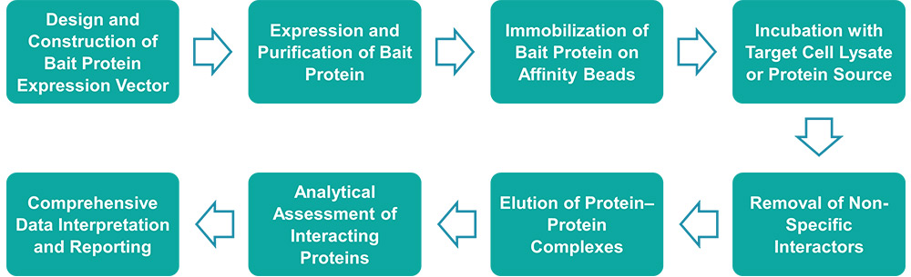 Workflow for pull-down assay service