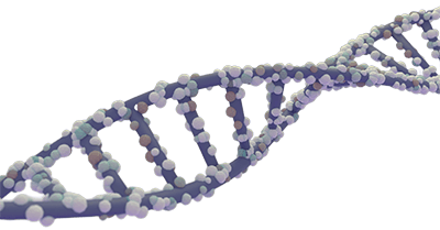 GenePower controlled randomization services at Creative BioMart