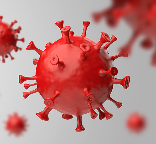 Monkeypox Virus-related Proteins