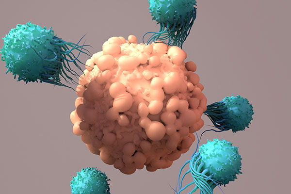 Targets of CAR-T Cell Therapy