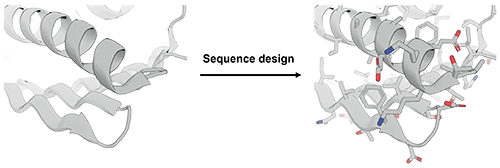 Sequence-based protein design (adapted from Wang, 2022)