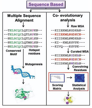 Comparative overview of sequence-based protein design approaches using multiple sequence alignment and co-evolutionary analysis
