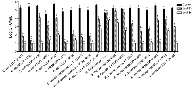 Fig2. Antibacterial spectrum of LysTS3 and LysTS6 against various Gram-negative bacteria without membrane permeabilization. (Kim, et al., 2025)