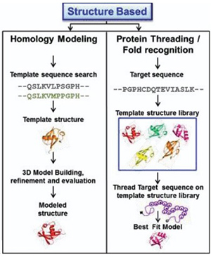 Comparative overview of structure-based protein design approaches using homology modeling and protein threading / fold recognition