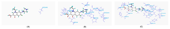 Molecular modification of fluoroquinolone-biodegrading enzymes based on molecular docking and homology modelling