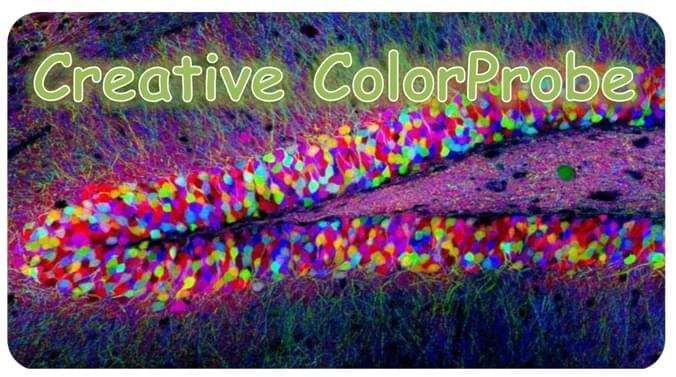 Fluorescent Tagged Protein in Vivo