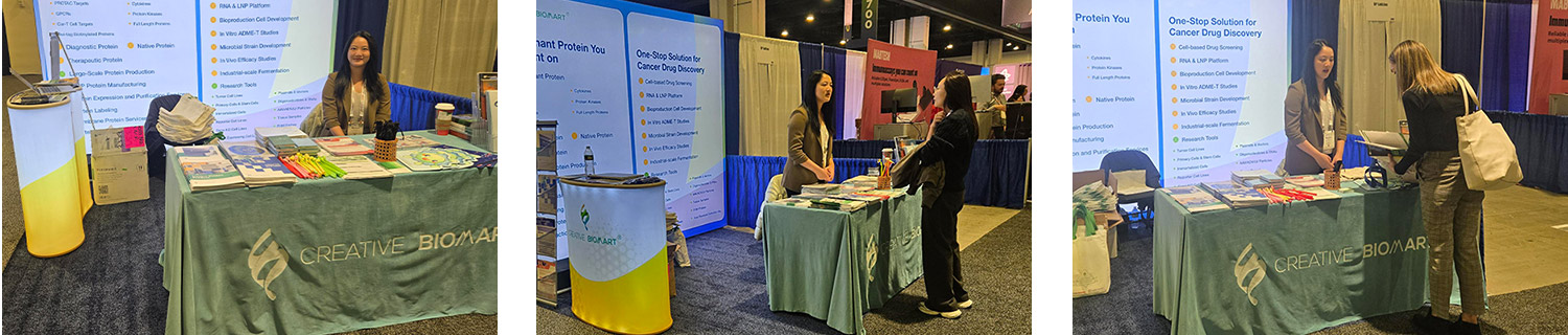 Thank You for Visiting Us at SITC 2025