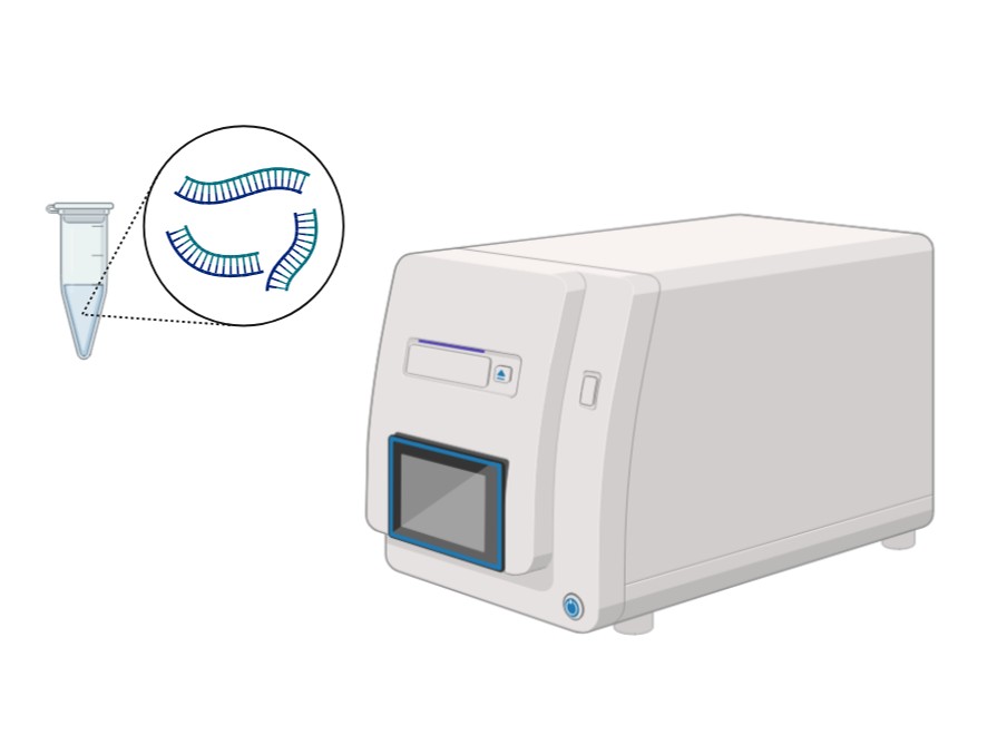 ChIP-qPCR/ChIP-Seq.