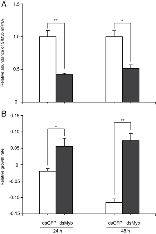 Susceptibility to Vip3Aa reduced by RNAi suppression of SfMyb expression.