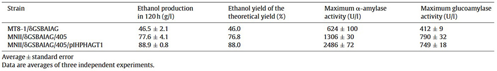 Raw starch fermentation using yeast co-expressing glucoamylase and &alpha;-amylase