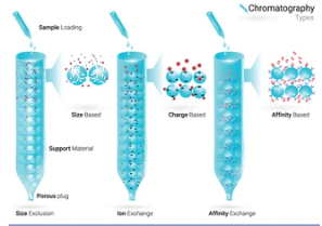 Protocol of Immobilized Metal Affinity Chromatography