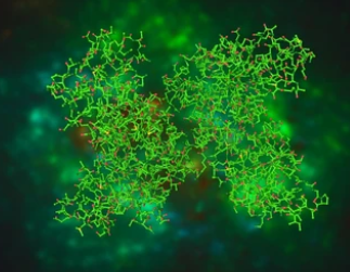 Guide of Protein Subcellular Co-localization