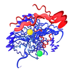 Principle and Protocol of Expression and Purification of MBP Fusion Protein