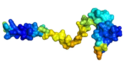 Guide for Mass Spectrometric Identification of Phosphorylated Peptides and Phosphorylated Sites