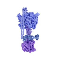 Protocol of Affinity Enrichment of Phosphorylated Proteins