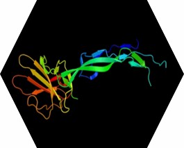 Overview of TGF-β Family Ligands