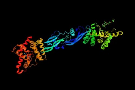 GDNF Family Ligands- Creative BioMart