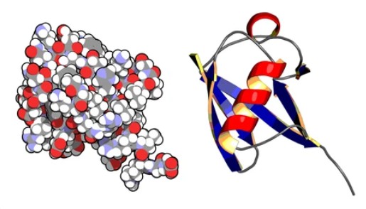 Ubiquitin - Creative BioMart 