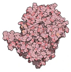 Phosphatases and Regulators - Creative BioMart  