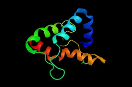 GDNF family receptor alpha 1, which has been shown to interact with GDNF and RET proto-oncogene. - Creative BioMart