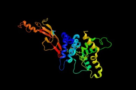 Glial cell-derived neurotrophic factor (GDNF), a protein. - Creative BioMart 