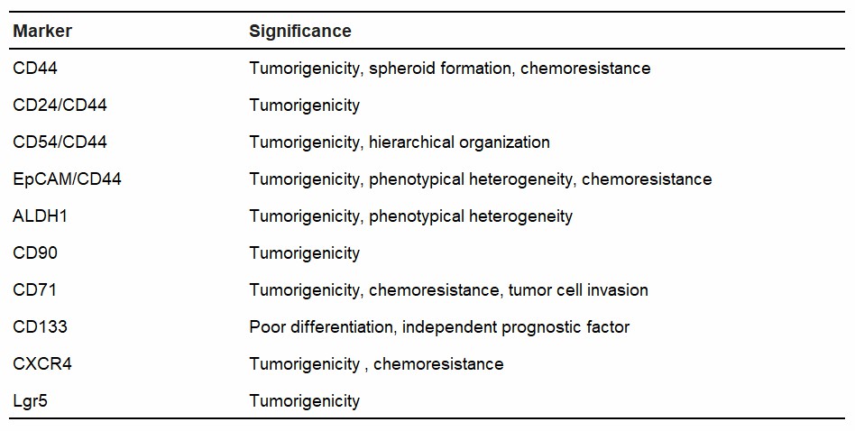 Gastric cancer stem cell markers