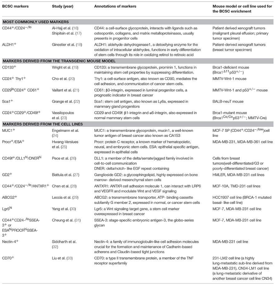 Markers used to identify breast cancer stem cells, derived from breast cancer cell lines, transgenic mouse models, and patient-derived tumors.