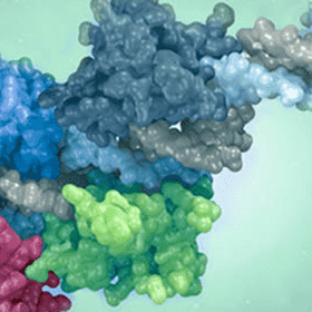 Protein Interaction Service