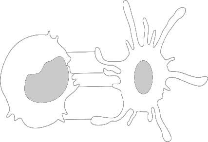 Immune Checkpoint Proteins