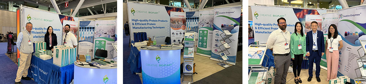 Thank You for Visiting Us at Biotech Week Boston
