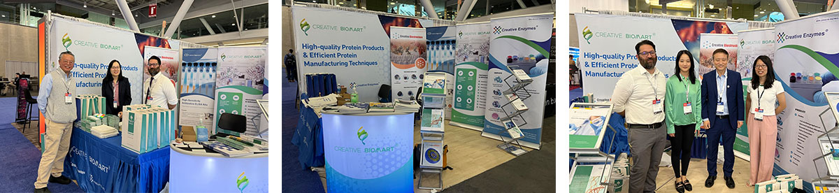 Thank You for Visiting Us at Biotech Week Boston