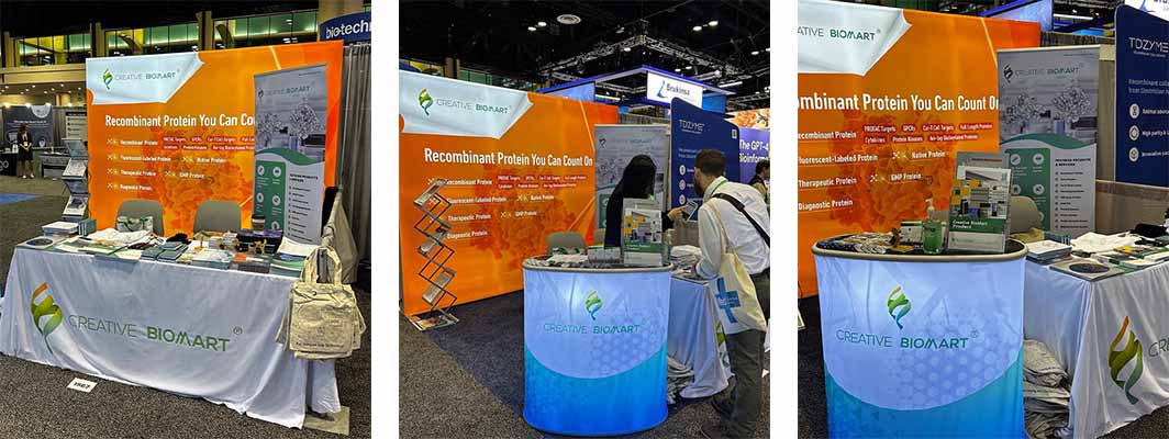 Thank You for Visiting Us at AACR 2023