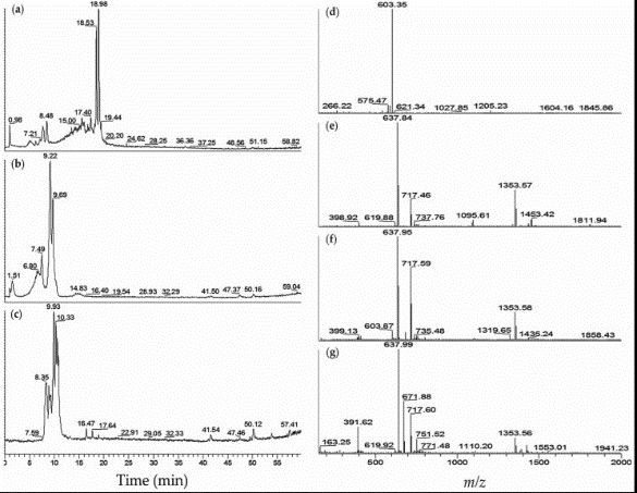 Fig2. Mechanism of ADC Drugs