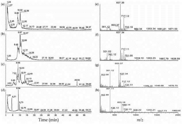 Fig2. Mechanism of ADC Drugs