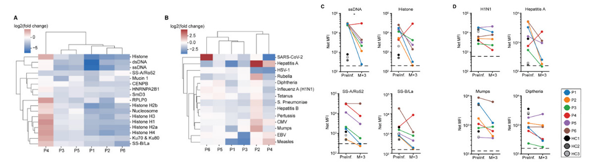 Fig1. Figure 2Effects of anti-CD19 CAR T cell therapy on humoral immunity in SLE patients